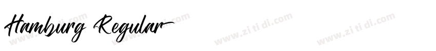 Hamburg Regular字体转换